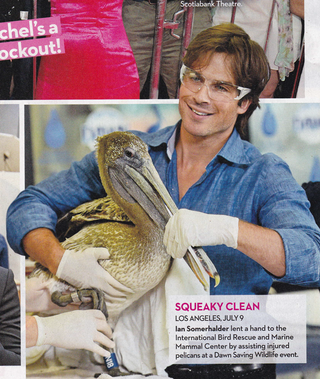 Illustration for article titled This Week In Tabloids: Khloé, Kourtney, and Miranda Are All Pregnant